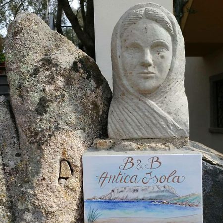 Antica Isola Bed and Breakfast Olbia Eksteriør billede