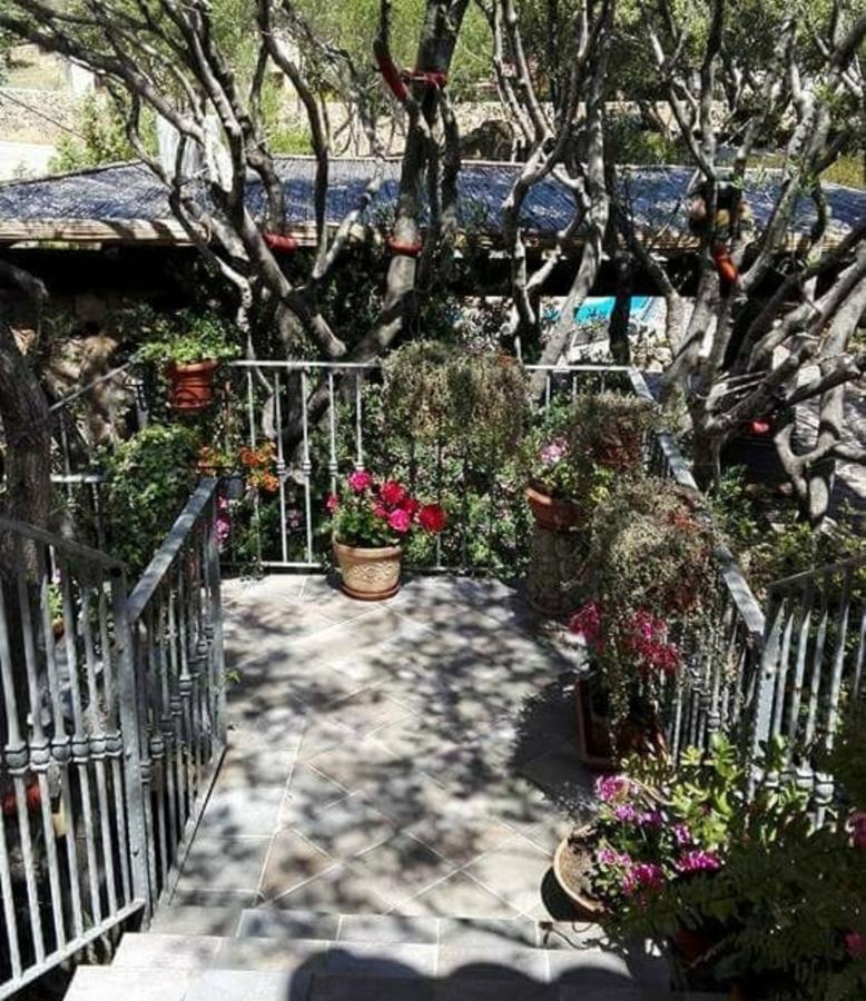Antica Isola Bed and Breakfast Olbia Eksteriør billede